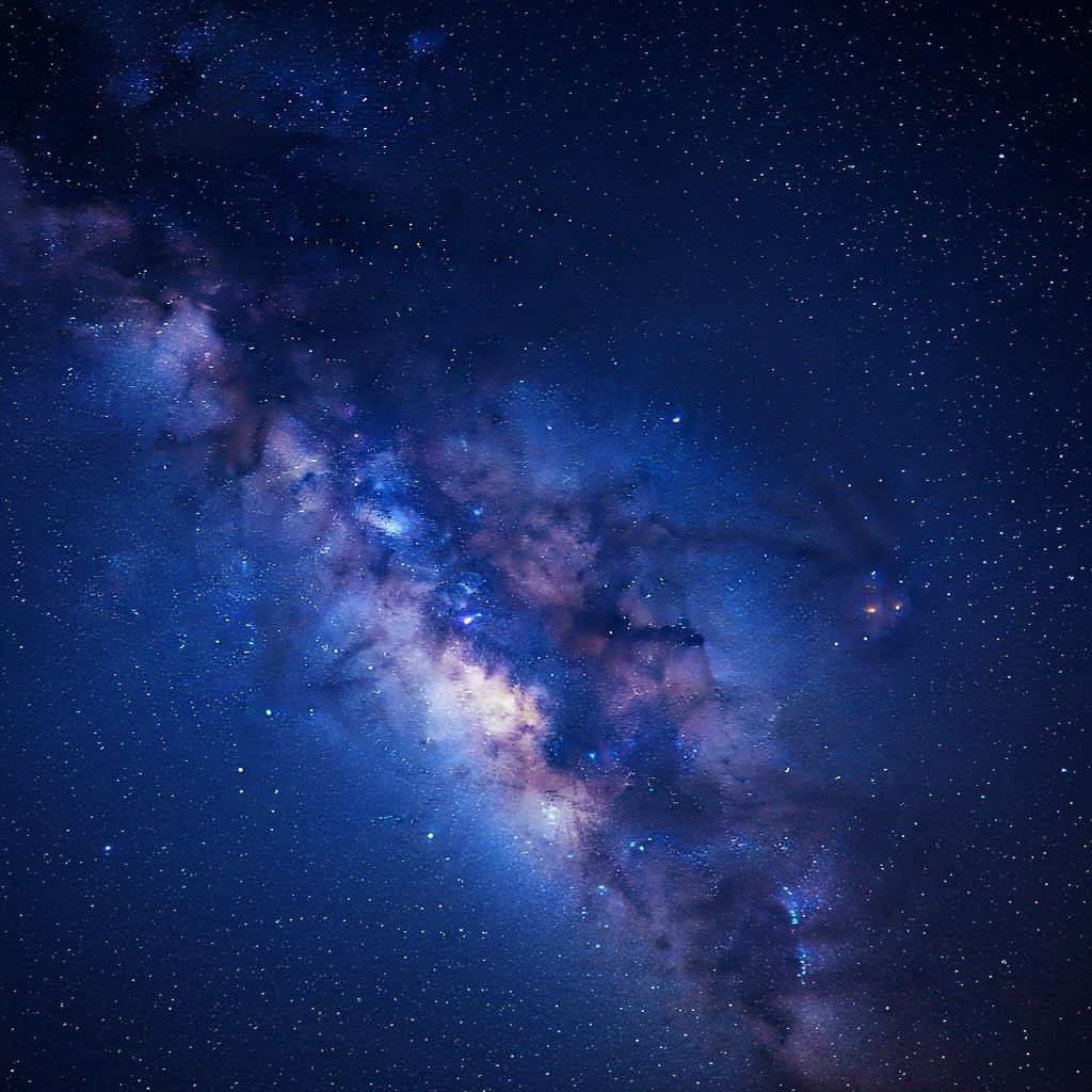 Assortiment de légumineuses: lentilles, pois chiches, haricots de différentes couleurs